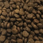 CRAZYPET® Trockenfutter HUHN Süßkartoffel kleine Rasse getreidefrei Hunde 2kg