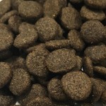 CRAZYPET® Trockenfutter LAMM mit Süßkartoffel getreidefrei für Hunde 12kg
