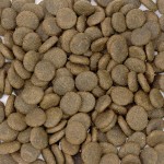 CRAZYPET® Trockenfutter LACHS mit Forelle Süßkartoffel getreidefrei für Hunde