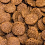CRAZYPET® Trockenfutter ENTE mit Süßkartoffel getreidefrei für Hunde 12kg