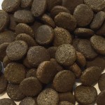 CRAZYPET® Trockenfutter LIGHT FORELLE mit Lachs getreidefrei für Hunde 12kg
