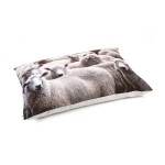 KARLIE Kissen LOUNGEKISSEN SCHAF Farbe beige 100 x 70cm...