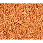DELI NATURE Futter GAMMARUS Flohkrebse 150 g für...