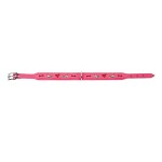 KARLIE FLAMINGO Filz-Halsband MONTENEGRO mit Leder unterleg für Hunde
