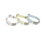 BEEZTEES Halsband PUPPY SET Collar & Leash 20-30cm/120cm versch Farben für Hunde