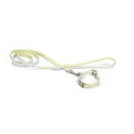 BEEZTEES Halsband PUPPY SET Collar & Leash 20-30cm/120cm versch Farben für Hunde