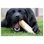 HOFMAN ANIMAL CARE Kauartikel Ruffwood Kaffeebohnenholz Naturprodukt für Hunde