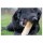 HOFMAN ANIMAL CARE Kauartikel Ruffwood Kaffeebohnenholz Naturprodukt für Hunde