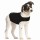 ZENPET Anziehen ZENDOG COMPRESSION SHIRT schwarz für Hunde