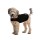ZENPET Anziehen ZENDOG COMPRESSION SHIRT schwarz für Hunde