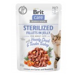 BRIT Nassfutter FILLETS IN JELLY Duck & Turkey...