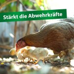 RÖHNFRIED Ergänzungsfuttermittel VITAMIN ADEC für Hühner Tauben Geflügel