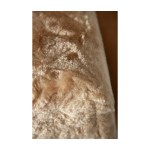 KARLIE Zubehör EASY STEP Hundetreppe Beige für Hunde