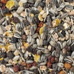 DELI NATURE Streufutter SUPER ENERGY MIX für...