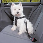TRIXIE Transport AUTO-GESCHIRR schwarz versch. Größen für Hunde