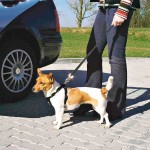 TRIXIE Transport AUTO-GESCHIRR schwarz versch. Größen für Hunde