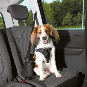 TRIXIE Kfz-Zubehör AUTO-GESCHIRR COMFORT versch. Größen schwarz für Hunde