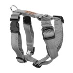 KOCH Geschirr NYLON-GESCHIRR UNI 25mm 45-60cm gepolstert...