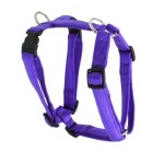KOCH Geschirr NYLON-GESCHIRR UNI 25mm 45-60cm gepolstert für Hunde