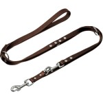 futterscheune.live® Leine FÜHRLEINE BASIC 200cm...