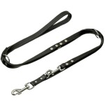 futterscheune.live® Leine FÜHRLEINE BASIC 200cm Fettleder für Hunde