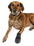 TRIXIE Schuhe Pfotenschutz WALKER CARE Größe S-XXXL 2 Stück Polyester für Hunde
