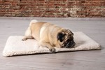 BEEZTEES Liegekissen ITO Memory Foam Beige 109 cm x 69 cm x 5 cm für Hunde