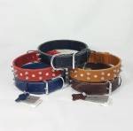 Savelli-Pet Halsband Echtleder abgerundete Nieten 39,5cm...