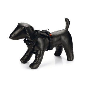 KARLIE Y-Geschirr ART SPORTIV Premium Neopren versch. Größen Farben für Hunde