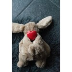 HOFMAN ANIMAL CARE Spielzeug Cozy Dog Bunny Herzschlag 30 x 20 x 10cm für Hunde