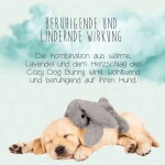 HOFMAN ANIMAL CARE Spielzeug Cozy Dog Bunny Herzschlag 30 x 20 x 10cm für Hunde