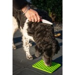 HOFMAN ANIMAL CARE Schleckmatte Eat Slow Live Longer Honeycomb 19cm für Hunde