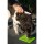 HOFMAN ANIMAL CARE Schleckmatte Eat Slow Live Longer Honeycomb 19cm für Hunde