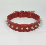 Savelli-Pet Halsband feinstes Echtleder mit Nieten ca.37,5cm - 45,5cm für Hunde