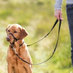 TRIXIE Erziehung Top Trainer Trainingsgeschirr schwarz...
