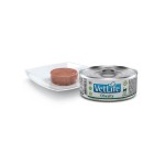 FARMINA Nassfutter VET LIFE NATURAL DIET Obesity bei...