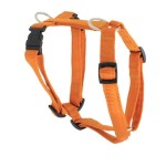 KOCH Geschirr NYLON-GESCHIRR UNI 15mm 31-37cm XXS...