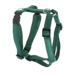 KOCH Geschirr NYLON-GESCHIRR UNI 15mm 31-37cm XXS gepolstert für Hunde