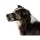 TRIXIE Maulkorb GIFTKÖDER-SCHUTZNETZ Polyester XS-XL schwarz für Hunde
