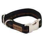 KOCH Halsband PREMIUM ALU-KLICK mit Kennfäden 15mm 25-35cm gepolstert für Hunde