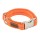 KOCH Halsband PREMIUM ALU-KLICK mit Kennfäden 15mm 25-35cm gepolstert für Hunde