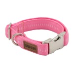KOCH Halsband PREMIUM ALU-KLICK mit Kennfäden 20mm 35-55cm gepolstert für Hunde