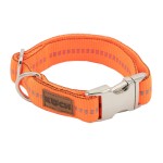 KOCH Halsband PREMIUM ALU-KLICK mit Kennfäden 25mm 30-45cm gepolstert für Hunde