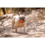 CHUCKIT Spielzeug Fetch Ball Chuckit Breathe verschiedene Größen für Hunde
