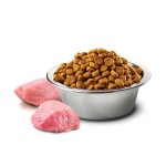 FARMINA Trockenfutter N&D Prime HUHN & GRANATAPFEL adult getreidefrei für Katzen