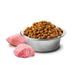 FARMINA Trockenfutter N&D Prime WILDSCHWEIN APFEL adult getreidefrei für Katzen