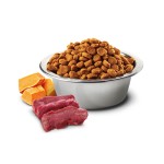 FARMINA Trockenfutter N&D Pumpkin HIRSCH KÜRBIS adult getreidefrei für Katzen