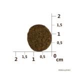CARNILOVE Trockenfutter TRUE FRESH Senior/Healthy Weight Fresh Chicken für Hunde