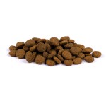 CARNILOVE Trockenfutter TRUE FRESH Senior/Healthy Weight Chicken f. Hunde 11,4kg