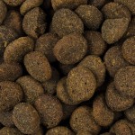 CARNILOVE Trockenfutter TRUE FRESH Senior/Healthy Weight Chicken f. Hunde 11,4kg
